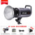 金贝LED摄影灯EF220BI双色温直播灯补光灯常亮视频影视微电影拍摄 EF220BI单灯头