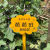 幼儿园菜园植物种植标示牌菜地农场草地爱护花草提示牌户外警示牌【12月12日发完】 P款黄色空白板 均码