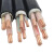 绿水青山电线电缆 YJV-0.6/1KV 3*50平方全项保检铜芯电力电缆 1米  (30米起定)