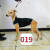 定制适用格力犬狗衣服惠比特加绒保暖棉服灵缇加厚加绒细狗犬服赛犬中大型 随机颜色 XS 40-45厘米肩高