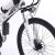 狮奥利兴中置电机助力自行车 新款22寸折叠山地锂电车助力续航高碳电 辐条轮 26英寸  36V
