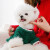 泰瑞格圣诞节秋冬装小狗狗衣服泰迪宠物冬季小型犬比熊博美猫咪冬天保暖 绿色 XS（建议体重1-3斤）