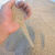 消防沙子河沙细沙花用救灾种植养花沙子多肉透气鱼缸底砂专业灭火 粗沙【3-6mm左右】-50斤