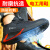 京途（Jingtu）2025N-10 10kV 绝缘鞋 42