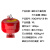 沅江 【感温】悬挂式七氟丙烷灭火装置 气体自动灭火系统装置 XQQW10/1.6-BA (不含药剂）
