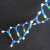 脱氧生物遗传基因教学仪器实验器材组装简单旋转自如DNA双螺旋结构模型组件分子模型 DNA双螺旋结构模型组件