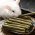 兔子仓鼠磨牙棒草饼苜蓿草提摩西荷兰猪草棍龙猫豚鼠兔粮零食用品 苜蓿草磨牙棒28根(小麦草味)