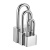 雨素 挂锁 小锁 仿不锈钢叶片锁 防盗锁 门锁柜子锁 50mm