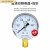 适用于于上海仪川仪表厂Y60 1.6MPA普通压力表气压表水压表 定制 Y-60 0-0.16MPA