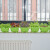 大禹 家庭鸡毛菜种子青菜籽阳台盆栽种植 长方形绿色种菜盆