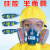 海固（HAI GU）防毒面具防尘硅胶全面具防酸性有机硫化氢AN有毒气体双滤盒防护全面罩 HG-600 K型4号