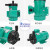 申亿莱  MP磁力化工泵氟塑料耐酸碱耐腐蚀微型磁力驱动循环水泵 MP-10RM螺纹口220V