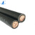 卓众 电线电缆BVR1*95 平方家装多股铜芯软线 黑色100米