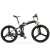 蓝克雷斯（LANKELEISI） 48V电动自行车27速油碟锂电池折叠电动助力自行车 48V黑白色/XT750五档助力高配版