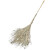卡质 KAZHI 清洁工具 大竹扫把 竹竿扫把竹子大扫帚笤帚马路扫 单个2斤重 5个装