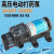 个个熊农用电动喷雾器水泵隔膜泵智能高压泵自吸泵直流大功率打药机100W 3210YA-12-100(无配件)