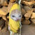 菲迪雅香蕉猫玩偶书包挂件会哭的香蕉猫哭泣猫喵可爱搞怪语音钥匙扣玩偶 【有声哭泣猫】