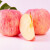 烟台苹果山东烟台红富士苹果 时令苹果水果 整箱新鲜水果应季水果生鲜礼盒 10斤装 净重8.5斤+ 单果160g+