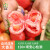 旭耕 有机生态西红柿大番茄 健康轻食 新鲜自然熟蔬菜配送 大番茄 5斤