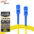 思诺亿舟（SNIT）SN-SCC10-SM 电信级单模单芯光纤跳线SC-SC 光纤收发器尾纤 10米