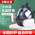 防毒面具 工业粉尘化工生化检查 有害烟雾喷漆印刷打农药 活性炭过滤 半全面罩式 防毒面具主体