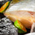 福宁港 条冻金鲳鱼 平鱼 扁鱼冷冻水产 生鲜 鱼类 国产海鲜 【3条装】条冻金鲳鱼400g*3条
