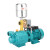 CIAA螺杆自吸泵高扬程水井抽水泵家用自来水增压泵220v自吸泵 手动不锈钢款1800W