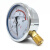 鸣驰 YN100耐震压力表水压油压液压抗震径向安装 YN100/0-0.1MPA//1KG 