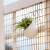 花击长空 绿萝植物壁挂花盆 自动吸水墙壁挂式  家居创意挂件 阳台厨房挂式 个性 壁挂配件 S挂钩