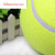 山头林村网球大尺寸24网球签名充气玩具宠物玩 网球大号9.5寸24 0筒