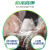 百得（Pattex）AAMS PLUS-T醇型防霉玻璃胶密封胶防水中性硅酮胶马桶淋浴房美容胶收边胶结构胶 半透明2支