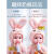 迪士尼（Disney）兔子毛绒玩具娃娃女孩学说话玩偶会说话的小布娃娃女童复读公仔女 284-3奶瓶娃娃 粉色 对话+动眼+usb直