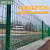 金蝎 桃型柱护栏网别墅小区围墙护栏网片庭院院子隔离网防护栏网铁丝网围栏 5毫米*0.8米高*2.5米宽一网一柱