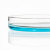阿力牛 YSY-150 专业实验玻璃培养皿 细胞培养高透明玻璃培养皿 60-150mm六合一套装 