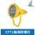上海亮舟 船用防爆投光灯CFT1铝质铜质网罩IP56带镇流器400W/450W 防爆投光灯CFT1镇流器