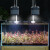森森水草灯造景灯射灯筒灯可调光草缸灯架珊瑚灯全光谱鱼缸爆藻灯 不含灯架 入门款20w