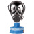 普达 防毒面具生化 MJ-4003全面罩配P-H2S-2（8号）滤毒罐 自吸过滤式防H2S 有色金属采矿 石油提炼