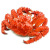 参典 新鲜帝王蟹鲜活熟冻智利进口螃蟹生鲜海鲜水产 熟冻帝王蟹 帝王蟹2-2.4斤