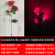 定制适用太阳能5头发光玫瑰花灯LED花园装饰户外防水庭院公园别墅 太阳能款-3头-红玫瑰