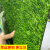 久聚和仿真草坪地毯幼儿园假草坪绿植人造人工塑料绿色草皮户外阳台装饰 2.0CM春草加厚特密 2米*1米 【10年】