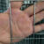 防锈铁丝网养殖网防护网围栏网拦鸡网玉米网圈地网防鼠防蛇防裂网 1米高6.0孔1.0毫粗45米