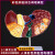 FACEMINI 医学仿真人体肝脏解剖模型肝门胆囊胆管结构消化系统器官演示教具 ZH-187
