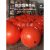 浮球航标警示标志障碍球航道水上浮标浮球塑料双耳海上水上漂浮球 400mm单耳25kg浮力