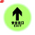 谋福8633-2地理式钢化双层玻璃地砖夜光疏散指示牌 自发光标志灯(圆形安全出口 浅底）