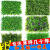仿真草坪植物墙人造草坪假草皮室内阳台装饰绿植壁挂背景墙绿植墙 40X60三叶什锦草