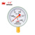 红旗（HONGQI）Y-100红旗普通压力表径向安装0-0.25mpa水压油压气压表螺纹M20*1.5	