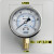 历修定制YN60不锈钢耐震压表力液油水防震气1/4PT  M14*1.5 0-0.6MPA/6KG (螺纹M14*1.5)