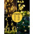 倍绿太阳能灯户外庭院灯LED灯串家用防水花园装饰满天星星挂树彩灯带 100LED 12米 彩色 八功能