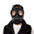 护力盾 FNJ08型防毒面具 防气核污染防毒面具消防面罩防工业毒气毒烟 面具+迷彩包+绿盒子