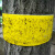 东部工品防虫胶带树木实验黏虫带粘虫带专用胶带树标高带 宽9cm X 长100m/卷 